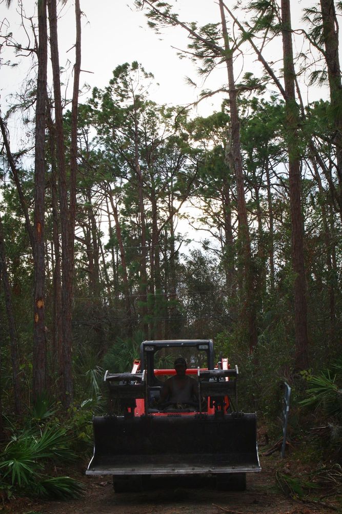 Enhance your property's safety and beauty with our professional Tree Trimming service, expertly shaping and maintaining healthy trees to prevent hazards while boosting curb appeal with precision care. for American Tree Masters in Alvin, TX