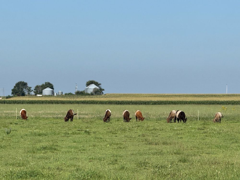 All Photos for HDE Services LLC in Grand Island, NE