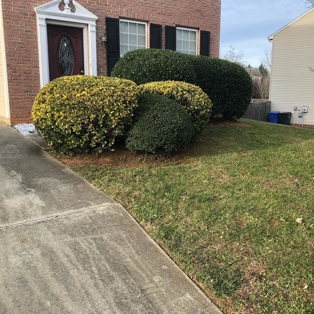 Landscaping for Kyle's Lawn Care in Kernersville, NC