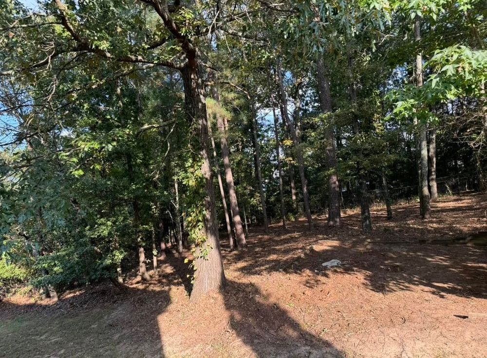 All Photos for Brumblebee's Landscaping & Cleaning Services in Loganville, GA