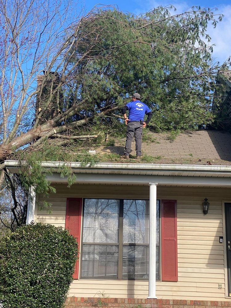 instagram for JayBird Tree Service  in Goodlettsville, TN