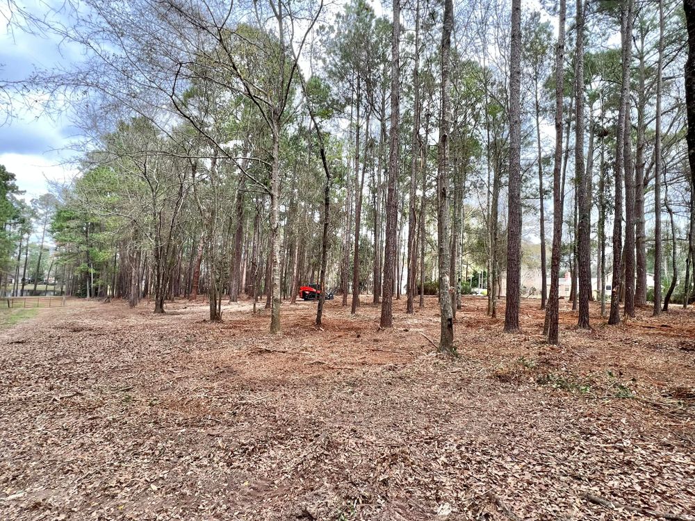 Thompson Forestry Mulching & Stump Grinding team in Douglas, GA - people or person