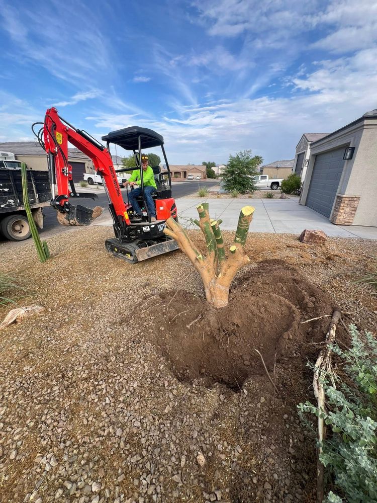 Top Notch Landscape Services team in Mohave Valley, AZ - people or person