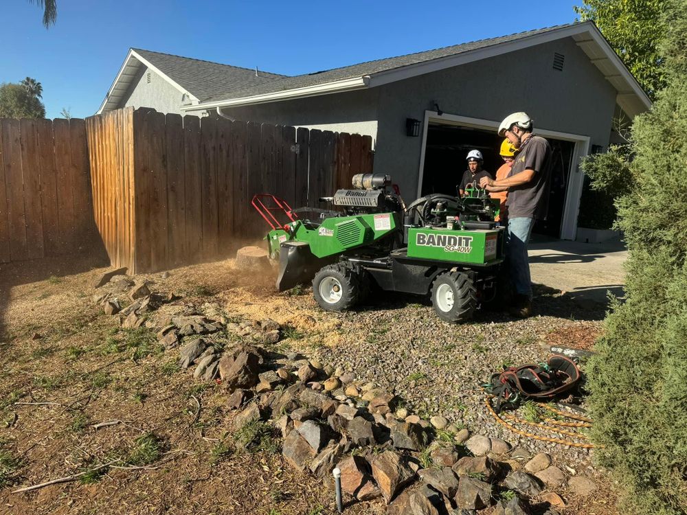 Property Clean Up for The Tree Fairy in Temecula, CA