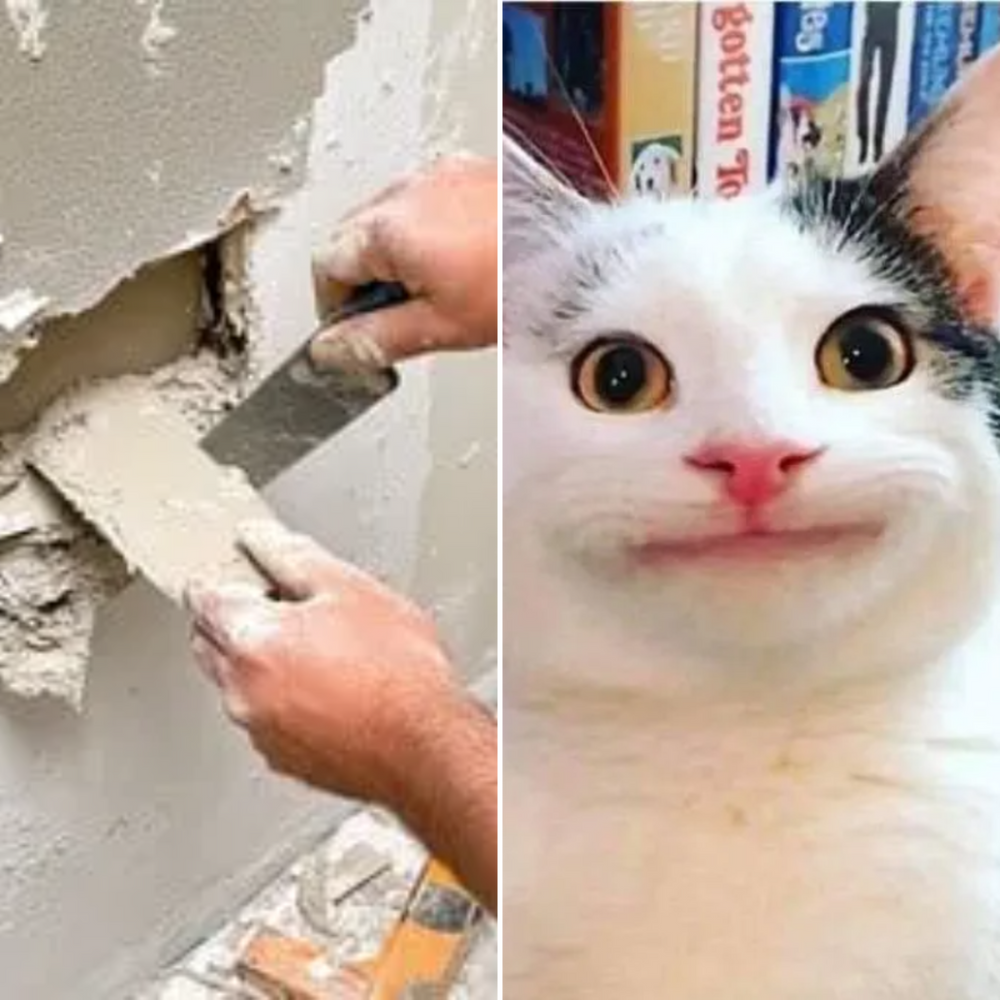 All Photos for Down Dog Yoga in Boston, MA