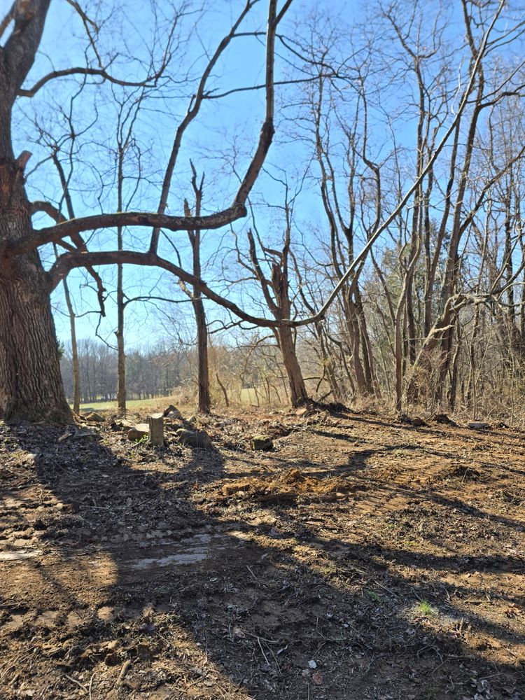 All Photos for Optimum Tree Service And Landscaping in Bowling Green, KY