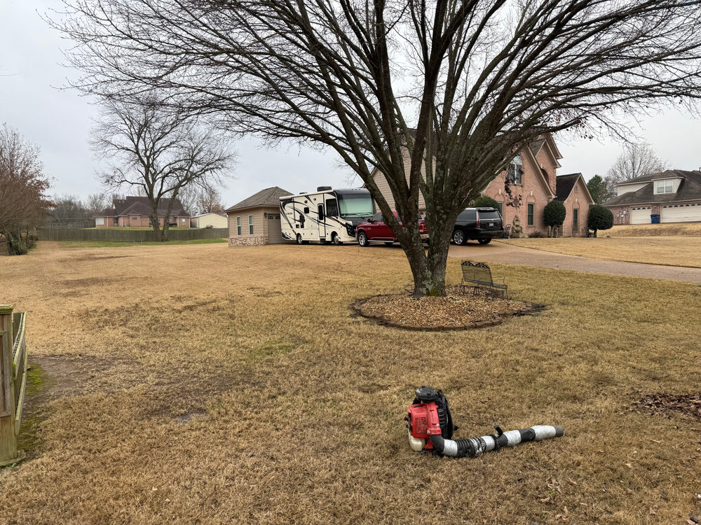 All Photos for Sanchez Z. Landscaping in Memphis, TN