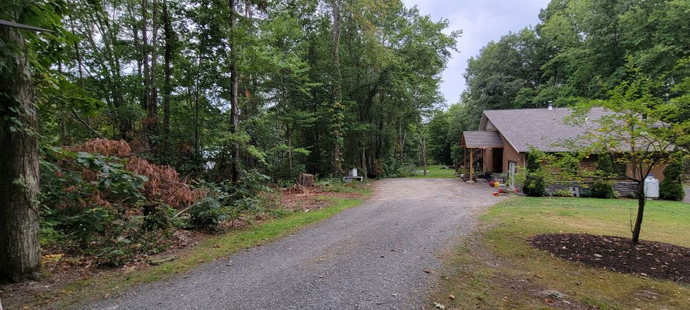 Tree Services for Fowler's Tree Service LLC. in New Albany, PA