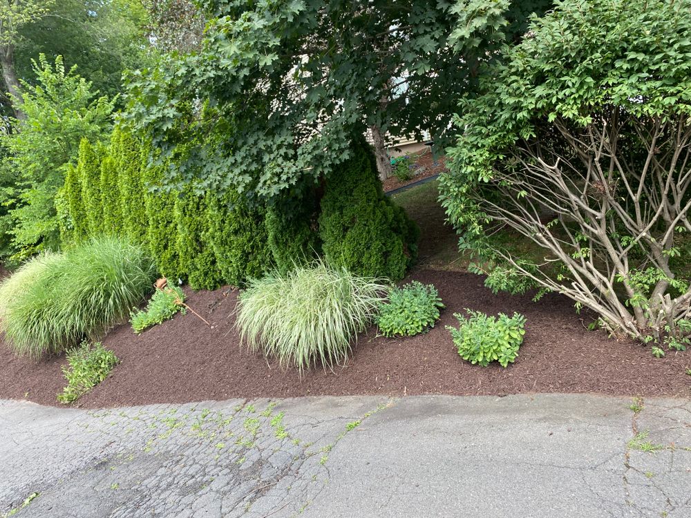 Mulching for Stevenson Property Maintenance in Cheshire, CT