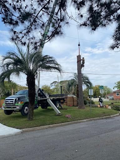 All Photos for Elite Tree & Landscape Services LLC in St. Augustine, FL