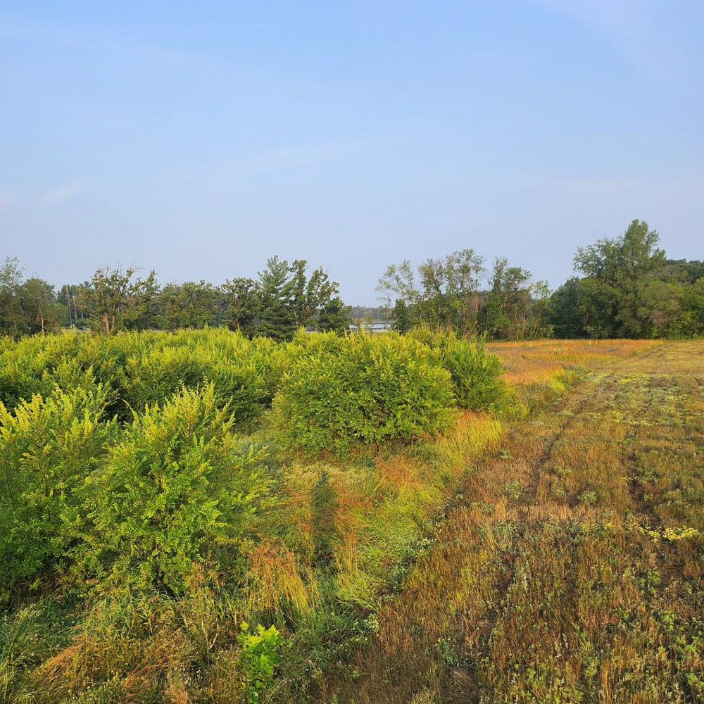 All Photos for Central Minnesota Brush Control and Landscaping in Brook Park, MN