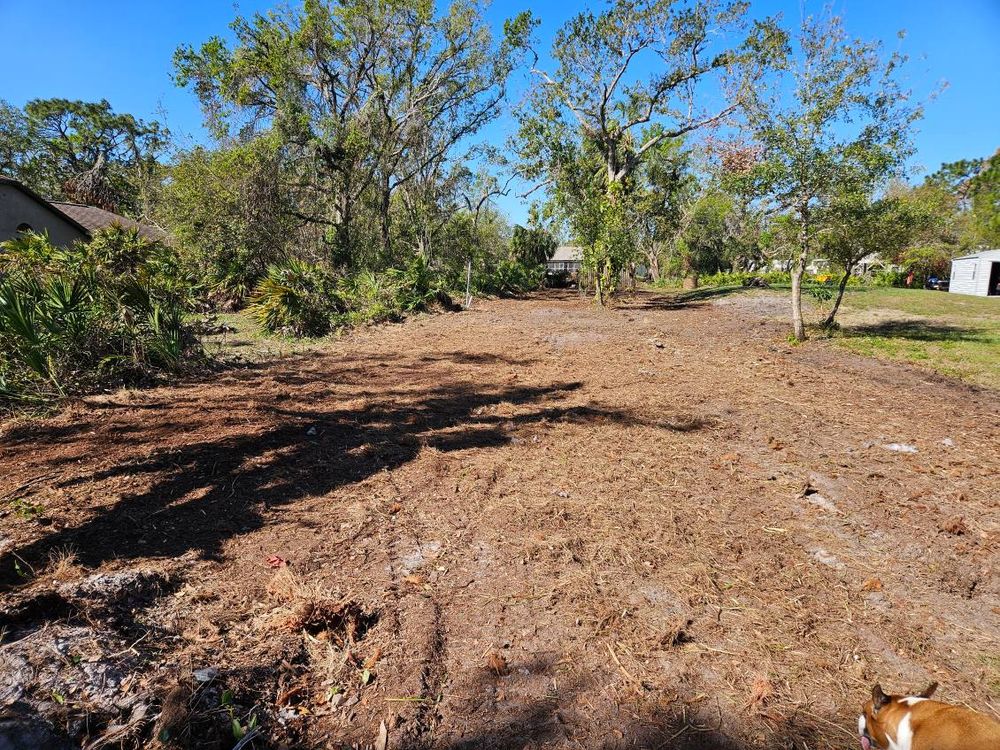 All Photos for Bay Area Bobcat in Riverview, FL