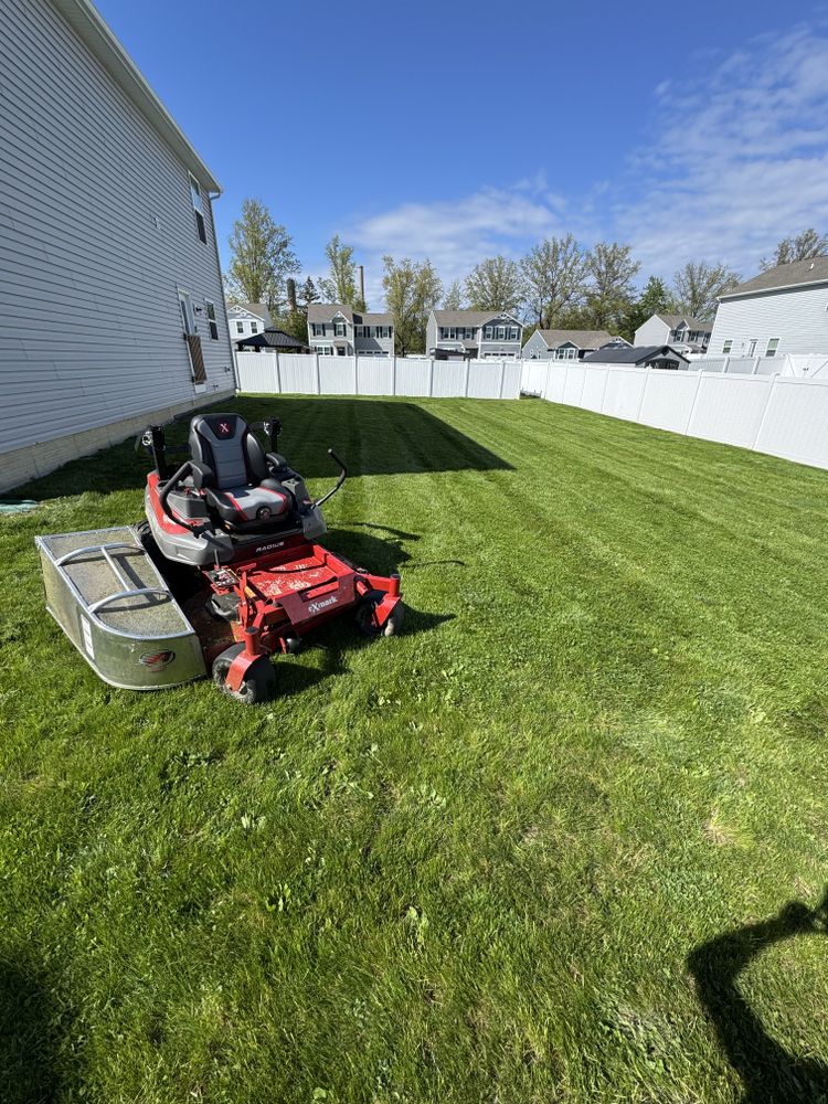 All Photos for Yard Theory L.L.C. in Willowick, OH