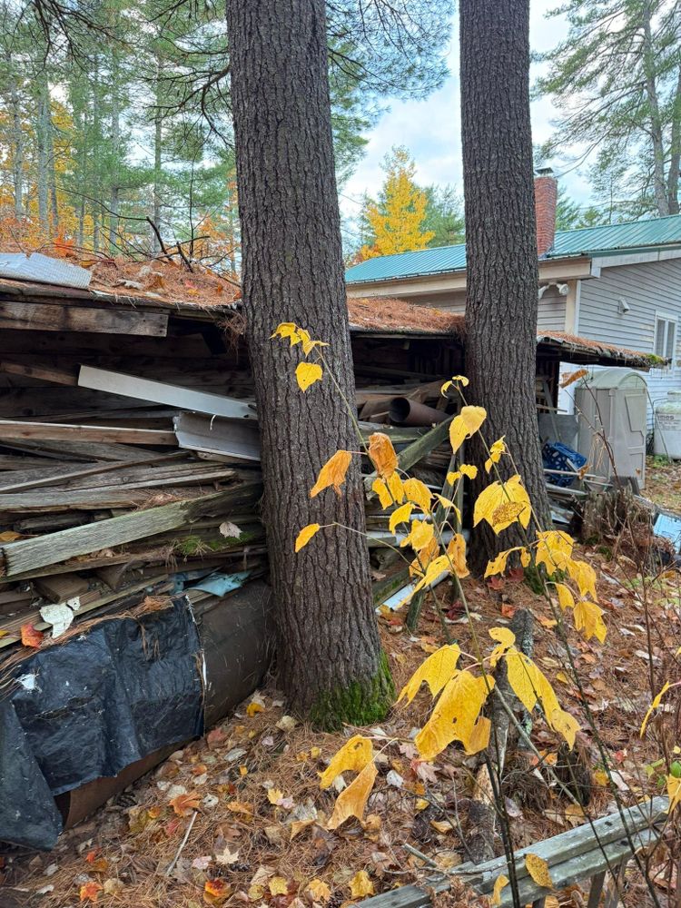 All Photos for White Mountain Dumpster in Ossipee, NH