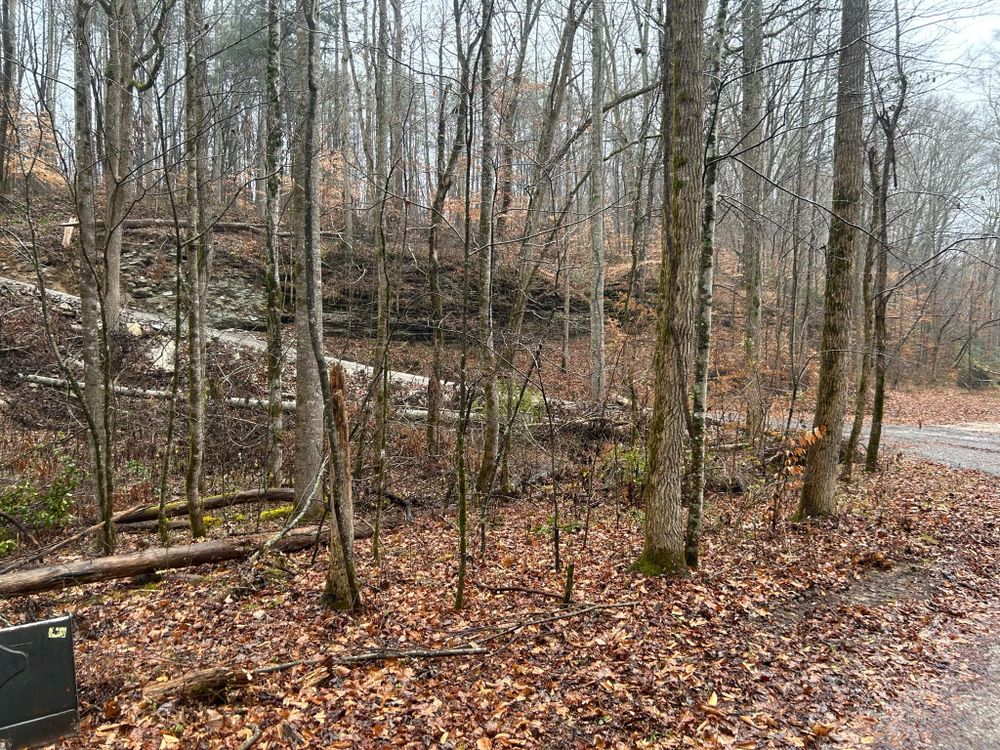 All Photos for Z's Land Management & Forestry Mulching in Smithville, TN