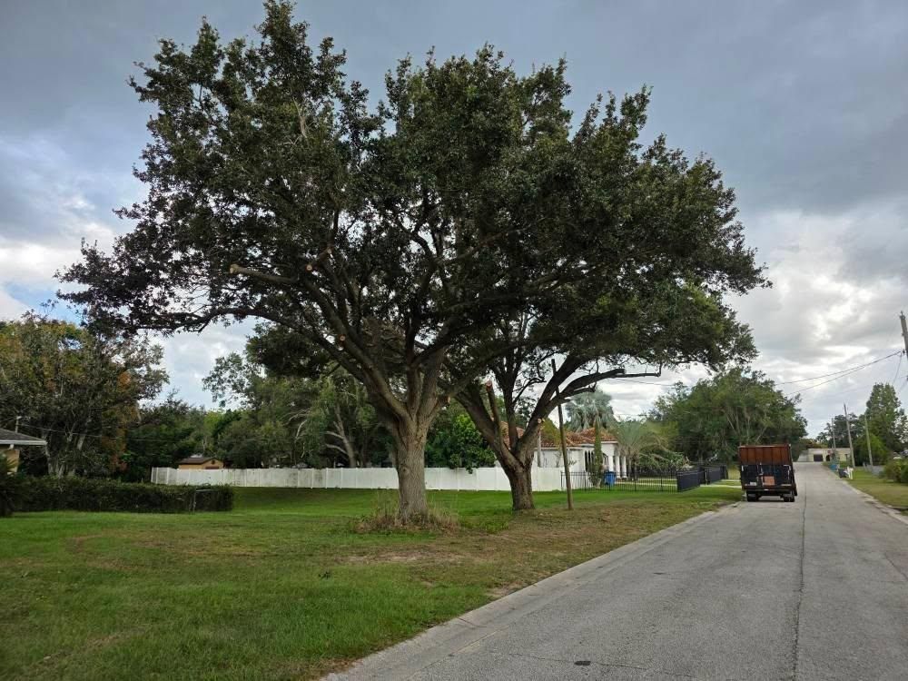 All Photos for Bay Area Bobcat in Riverview, FL