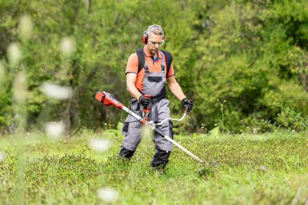 Our weedeating service keeps your property neat by trimming overgrown grass and weeds around fences, flower beds, sidewalks, and hard-to-reach areas for a clean, polished landscape appearance year-round. for Get Things Done LLC in Franklin, GA