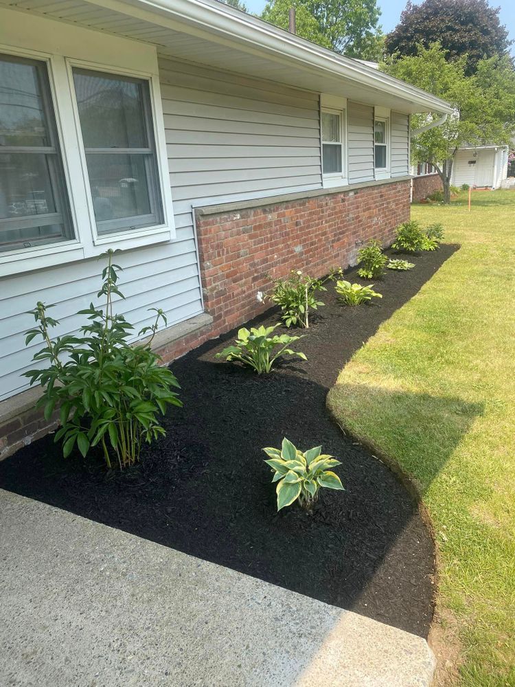 Lawn Care for Wilson’s Landscape Services LLC in West Bridgewater, MA