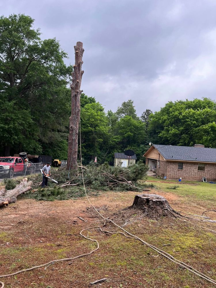 All Photos for JC Land and Tree Service in Kilgore, TX