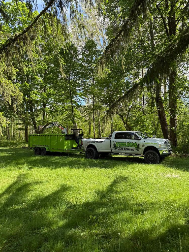 All Photos for Sterlings Tree Removal in Cobleskill, New York