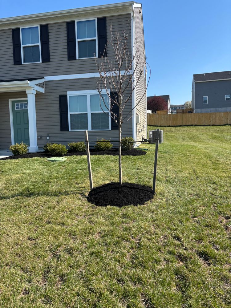 Mulching for Backyard Acres Lawncare LLC in Chambersburg, PA