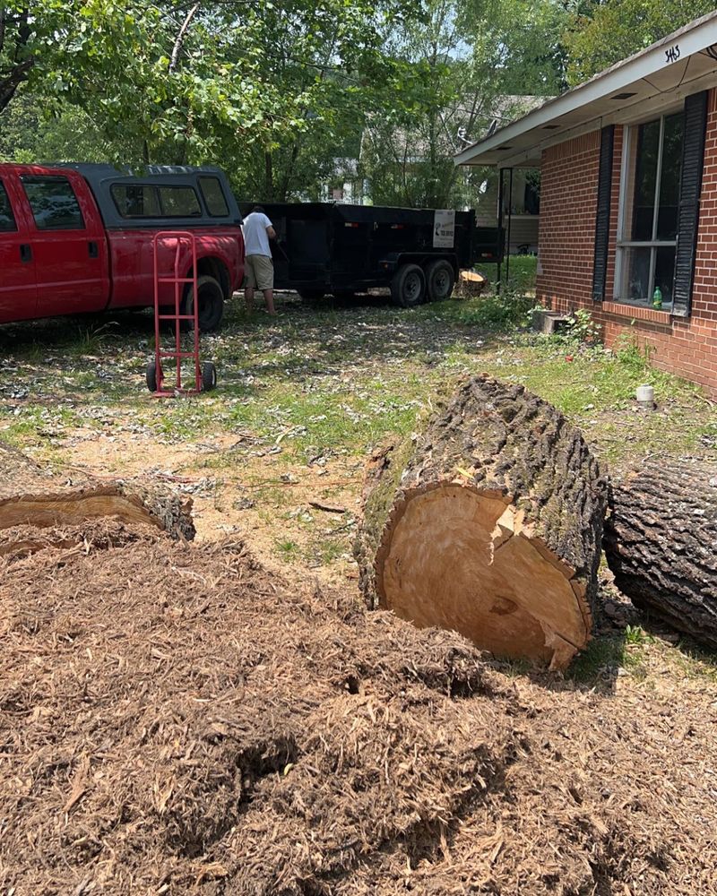 Our Stump Removal service efficiently eliminates unsightly stumps, enhancing your property's safety and aesthetic appeal. We use advanced equipment to ensure a clean removal process, leaving your landscape ready for new possibilities. for Professional Tree Service USA in Chattanooga, TN