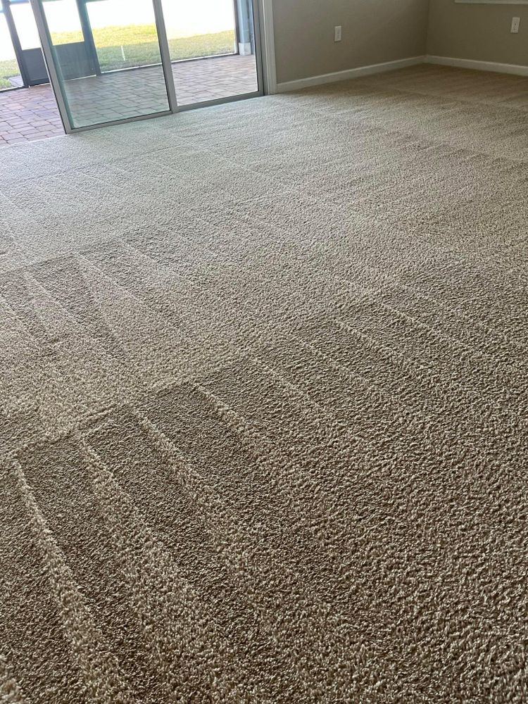 All Photos for Stain X Carpet Cleaning in Jacksonville, FL