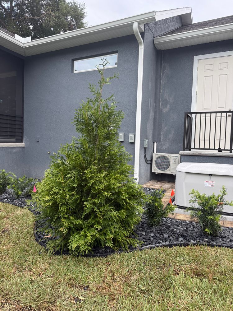 All Photos for Amerigrown Tree And Lawn in Apopka, FL