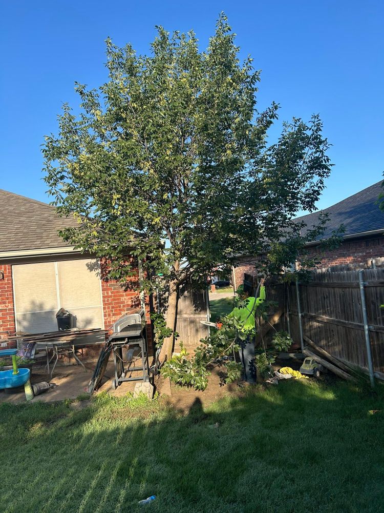 All Photos for Teague Trees and Land Clearing in Rendon, TX