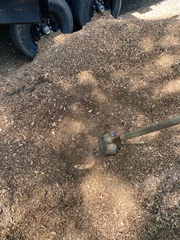 All Photos for Houtz Tree Service in Lexington, KY