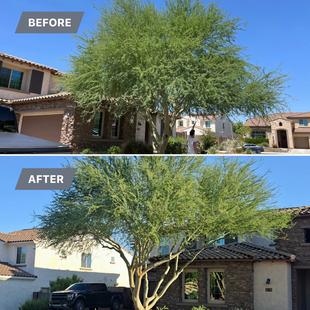Topiary & Lawn Care for Grand Canyon State Landscape Inc. in Surprise, AZ