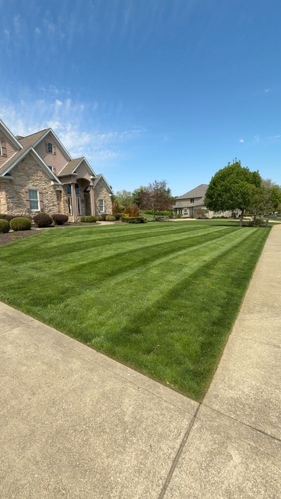 All Photos for Green Stripes LLC in North Canton, OH