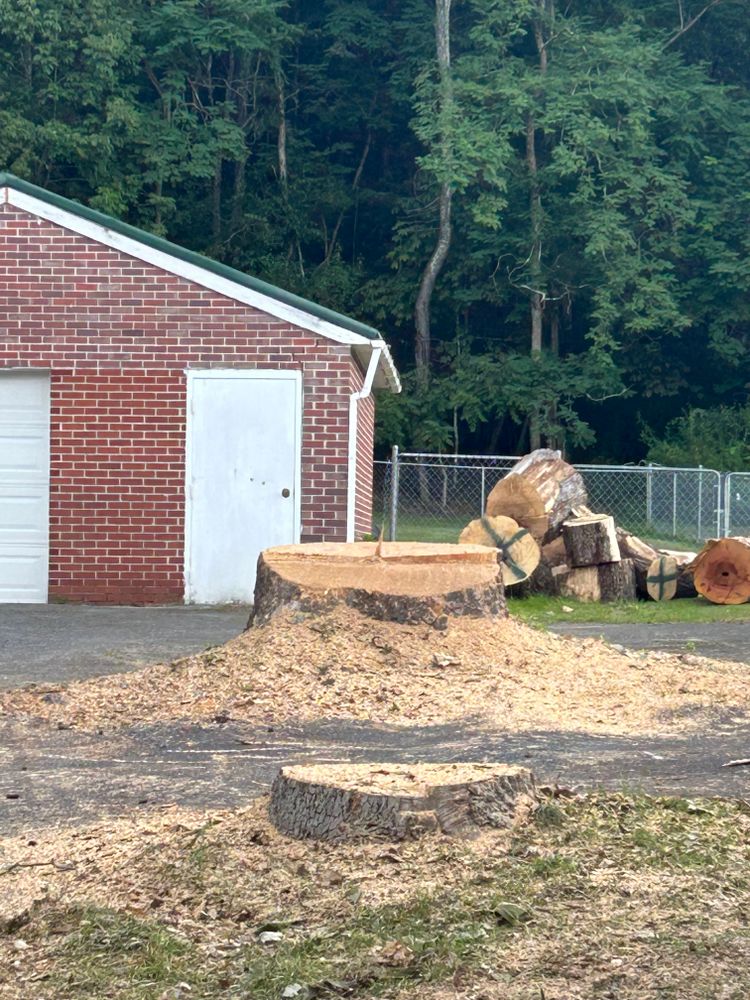 Tree Removal for NRV Tree Pro, LLC in Narrows, VA