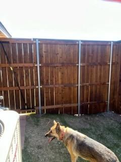 All Photos for Secure Fence & Construction in Norman , OK