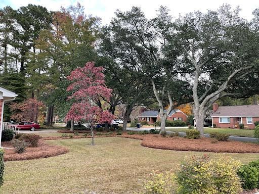 All Photos for Green Works Landscaping in Clayton, NC