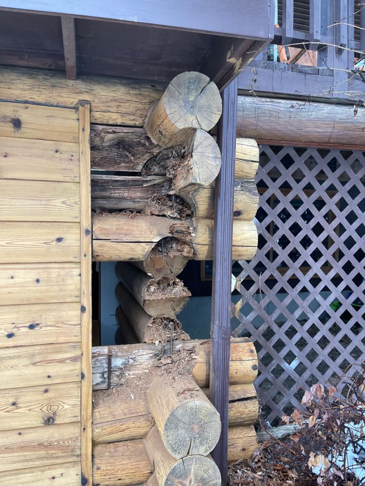 All Photos for Wild West Log home specialists in Corvallis, MT