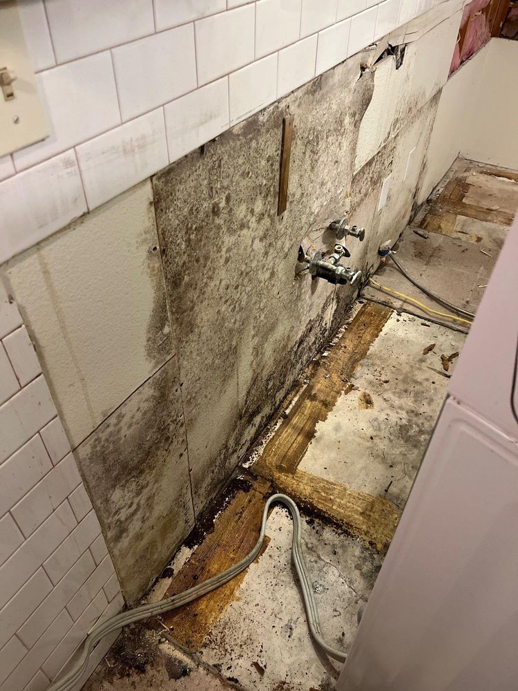 Our expert mold remediation service swiftly removes mold and prevents future growth, ensuring a healthier home environment by using advanced techniques to restore your property safely and efficiently. for No Fear Restoration LLC in Port Angeles, WA
