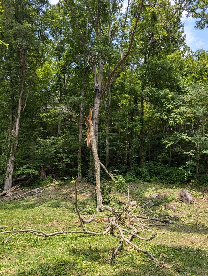 All Photos for Wade's Family Tree Service in Townsend, TN