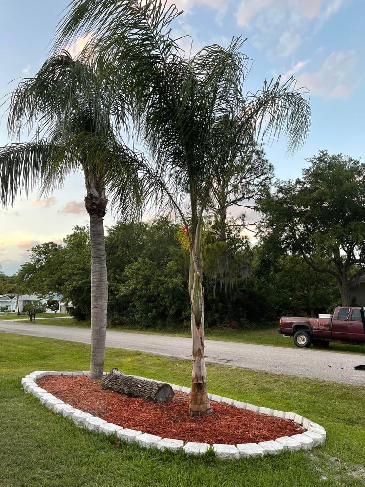 Landscaping for Plant World LLC in Cape Coral, FL