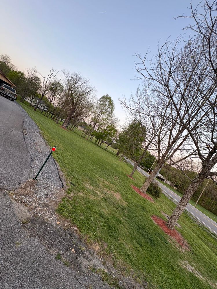 All Photos for Platinum Lawncare in Fayetteville, TN