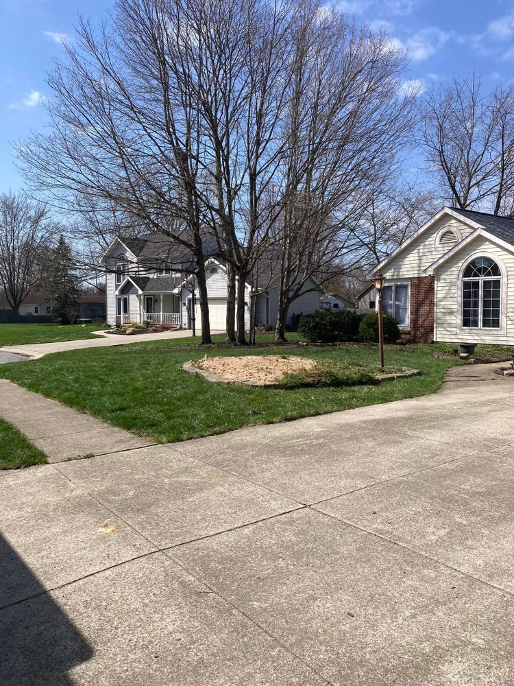 All Photos for Summit Tree Care LLC in Fort Wayne, IN