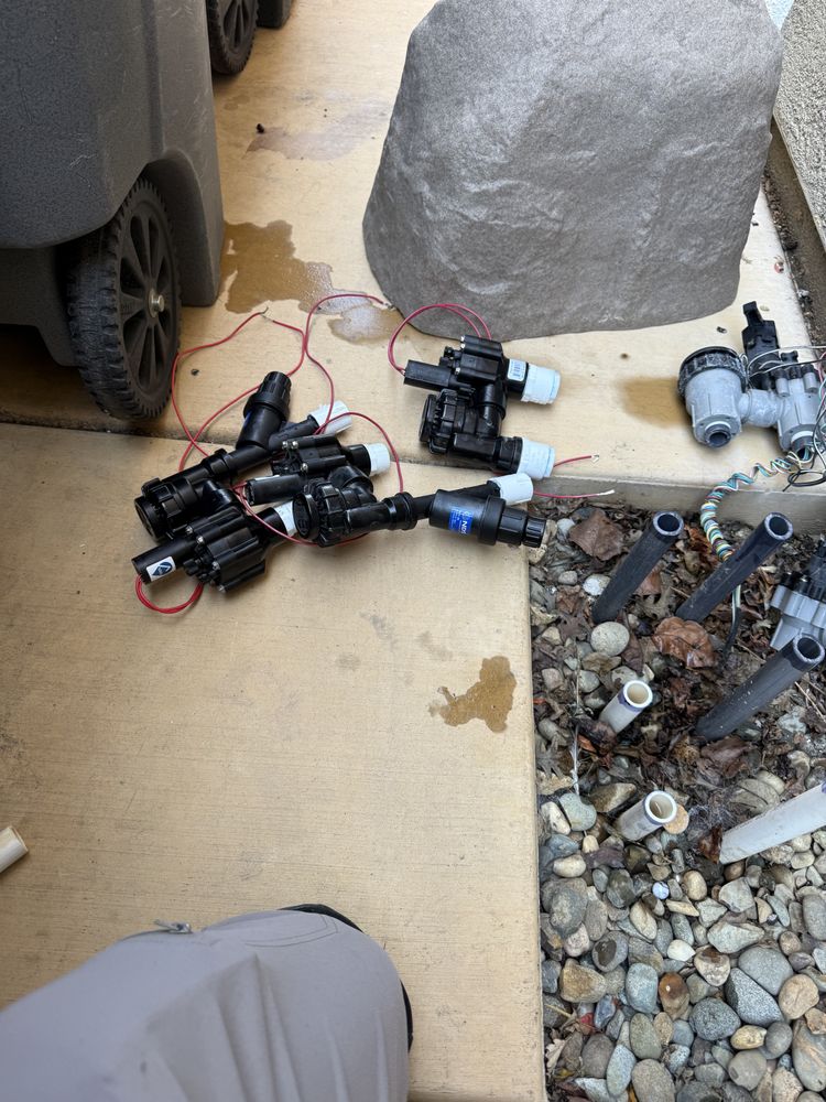 All Photos for CBA Landscaping in Hayward, CA