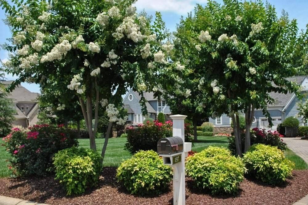 All Photos for Dumbo's Doggy Doors in City of Sammamish, WA