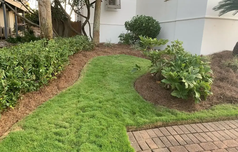 Landscaping for Poarch Creek Landscaping in Santa Rosa Beach, FL