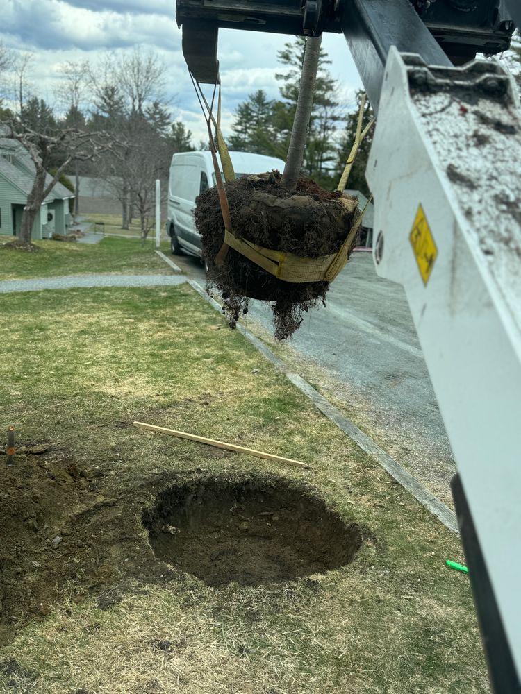 All Photos for Clifford’s Quality Tree Care & Landscaping in Enfield, NH
