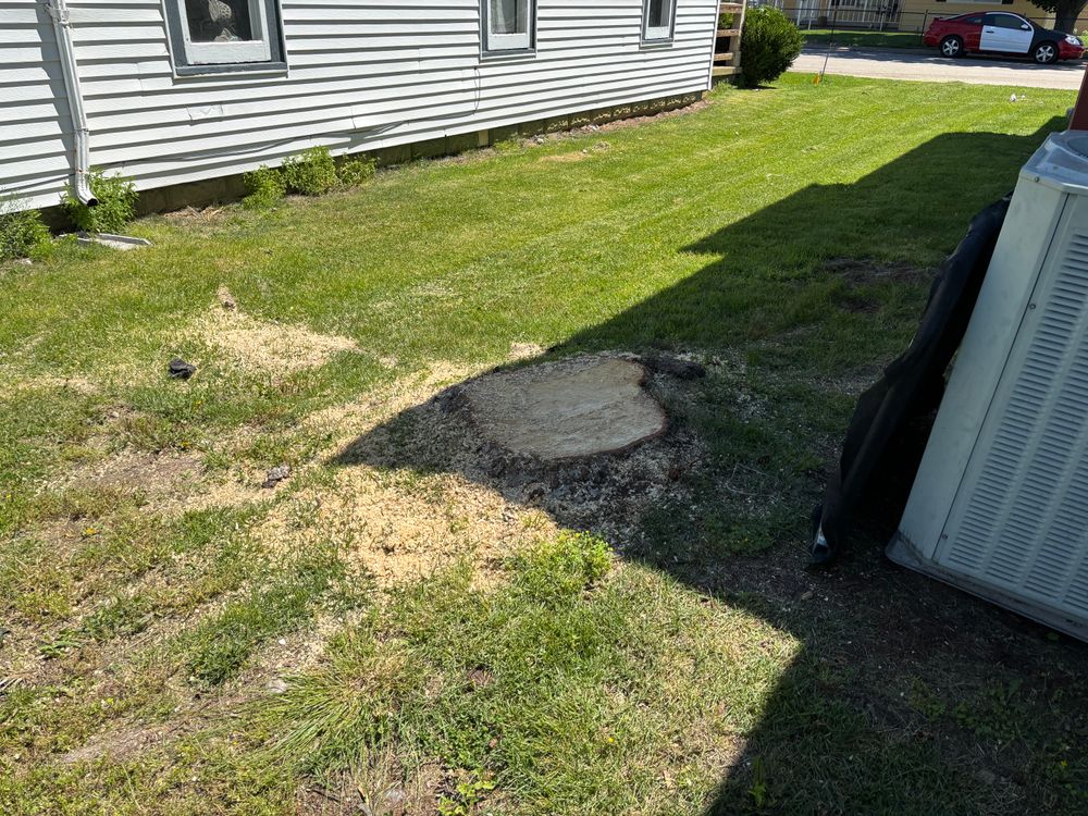 All Photos for Conrad's Stump Removal in Columbus, IN