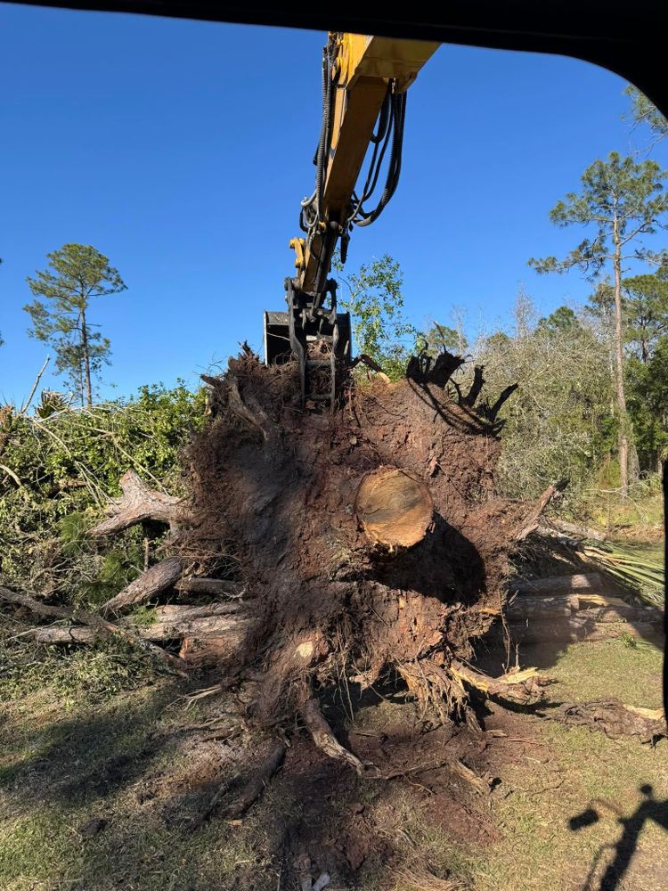 All Photos for Heverly Land Solutions in Winter Haven, FL