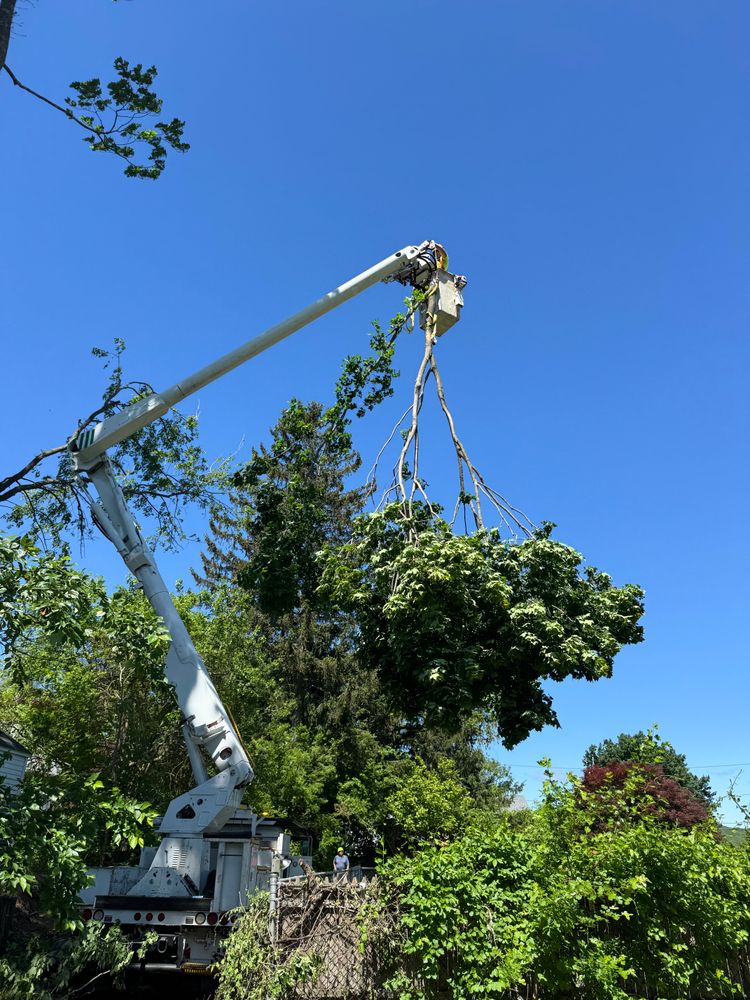 All Photos for Hennessey Tree & Landscape LLC in Oxford,  CT 