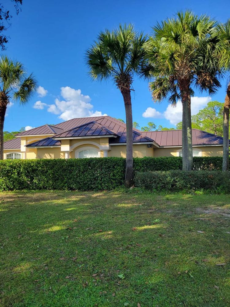 Our Tree and Hedge Care service keeps your landscape healthy, tidy, and attractive with expert pruning, shaping, trimming, and seasonal maintenance that promotes growth, safety, curb appeal throughout every season. for Above the Lawn Cuts in Sebring, FL