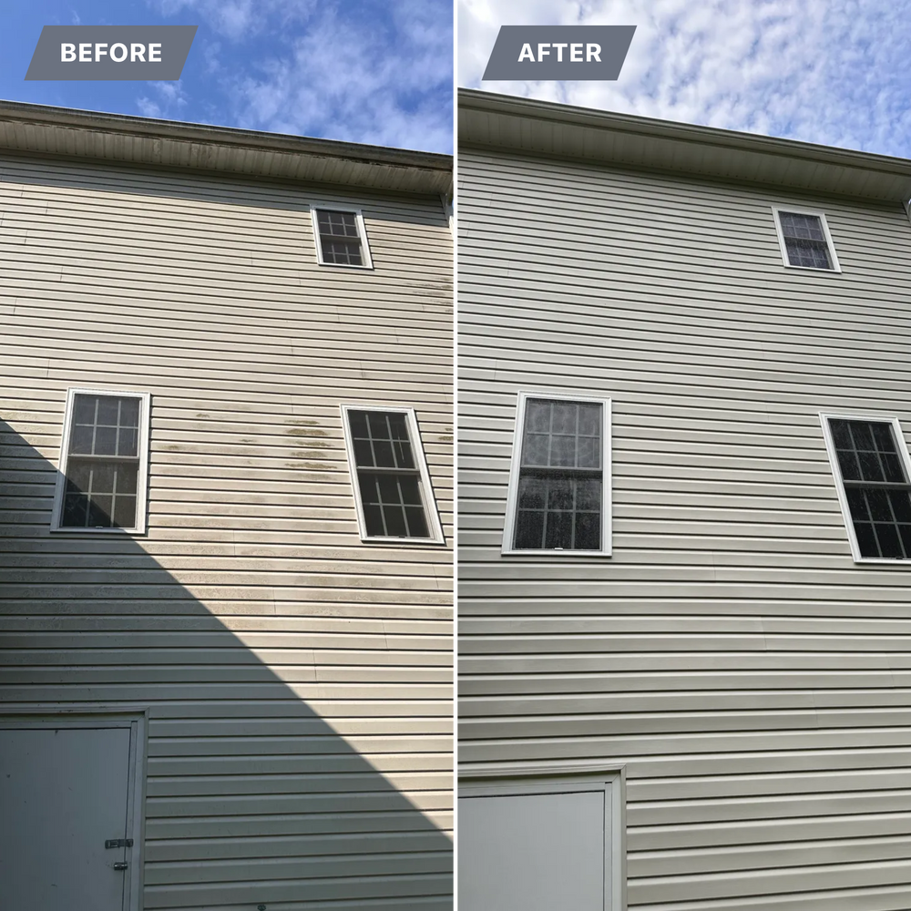 All Photos for LeafTide Solutions in Richmond, VA